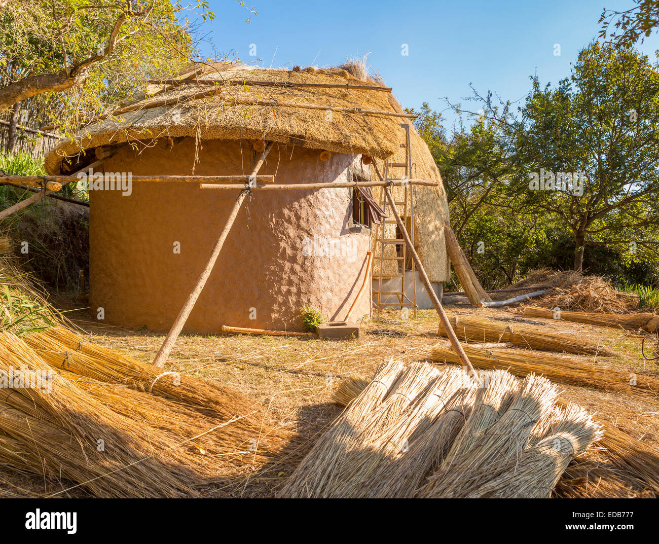 SWAZILAND, AFRICA - Costruzione di un tradizionale rifugio di alveare fatto di paglia di erba secca, al Phophonyane Riserva Naturale Foto Stock