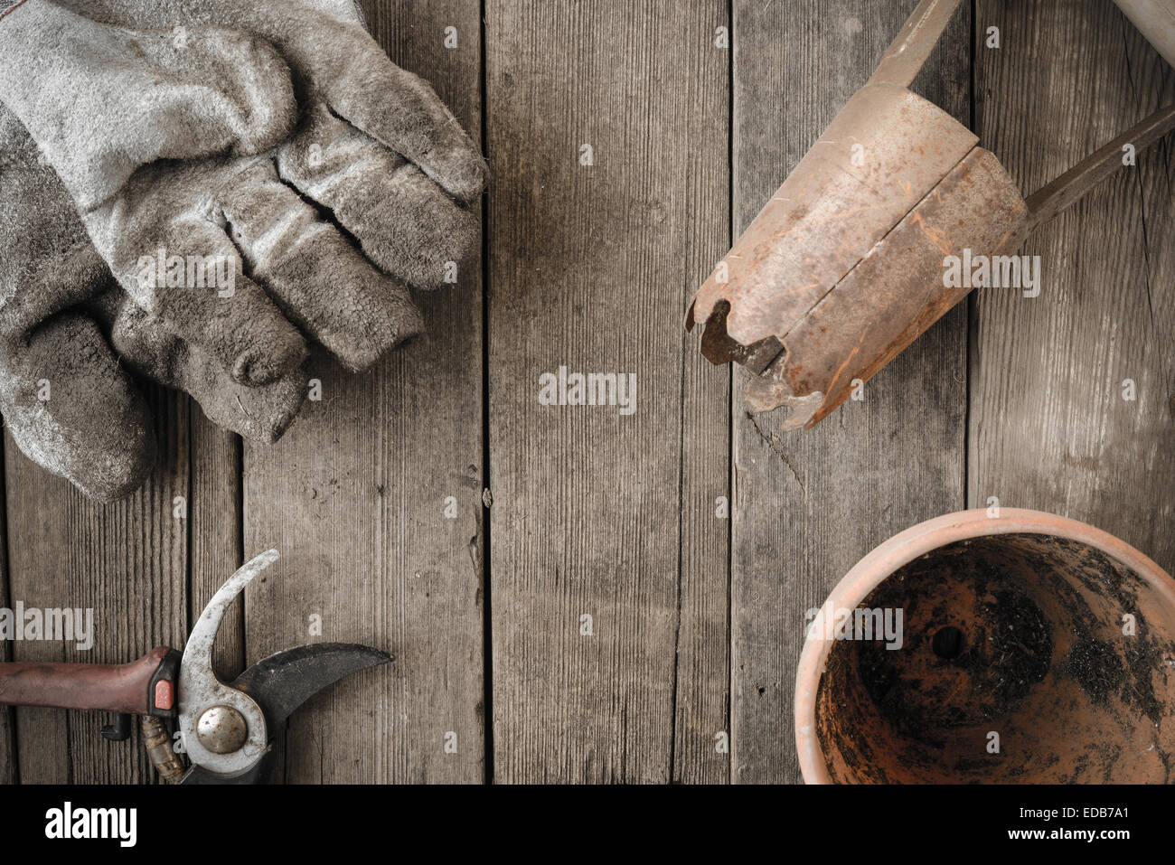 Sfondo di giardinaggio per piantare fiori Foto Stock