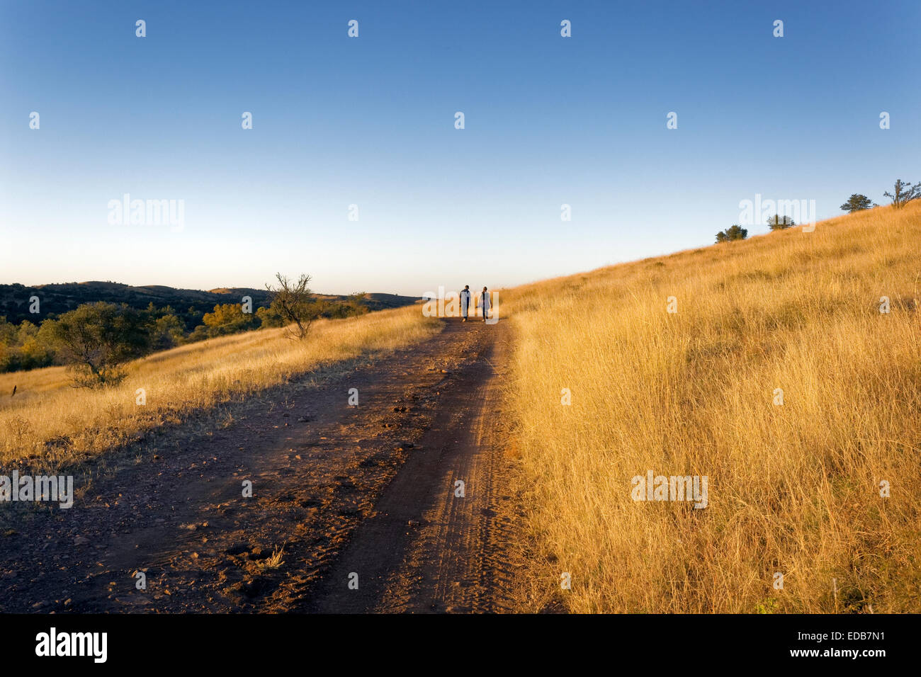 Un paio di passeggiate lungo una panoramica strada di campagna, Southeastern Arizona Foto Stock