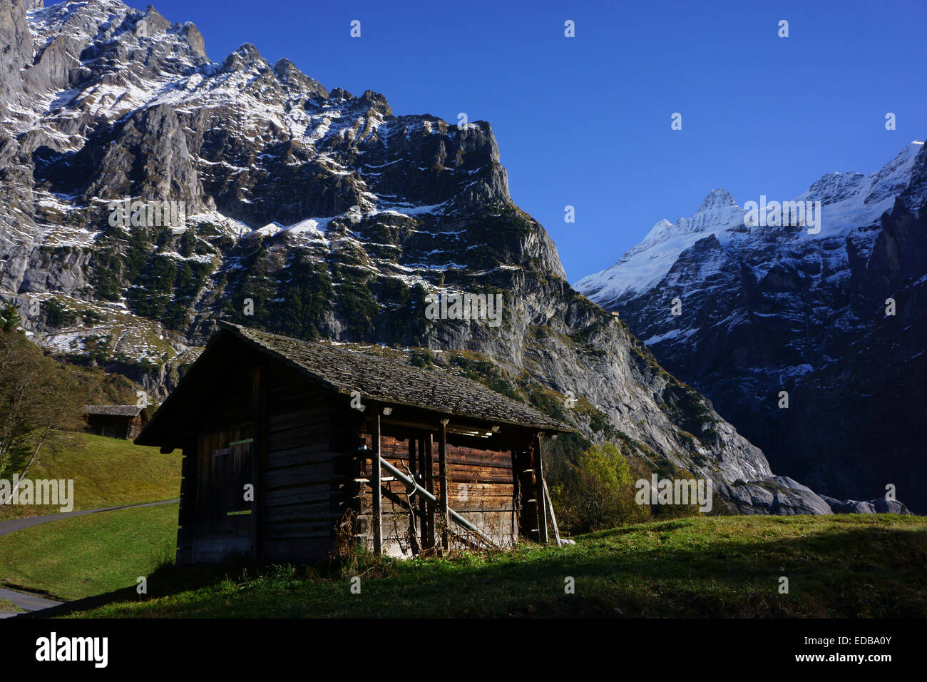 Di seguito Heybarn Wetterhorn (l) e Schreckhorn (estrema destra), Grindelwald, alpi Bernesi, Svizzera Foto Stock