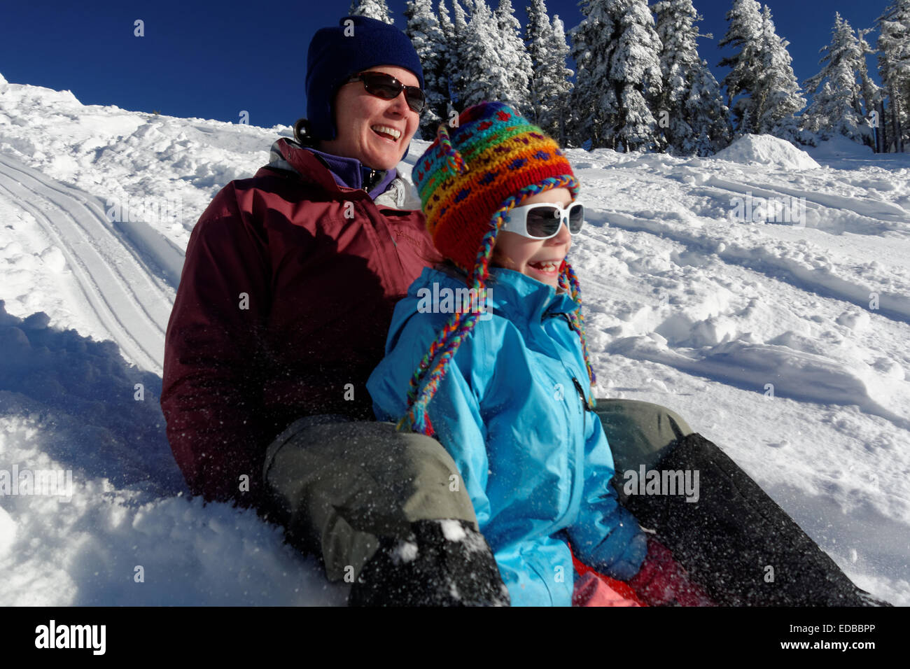 Madre e figlia slittino sulla neve in montagna, Hurricane Ridge, Clallam County, il Parco Nazionale di Olympic, Washington, Stati Uniti d'America Foto Stock