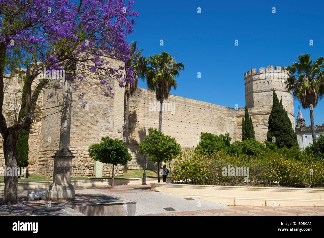 Alcazar de Jerez, Jerez de la Frontera, Andalusia, Spagna Foto Stock