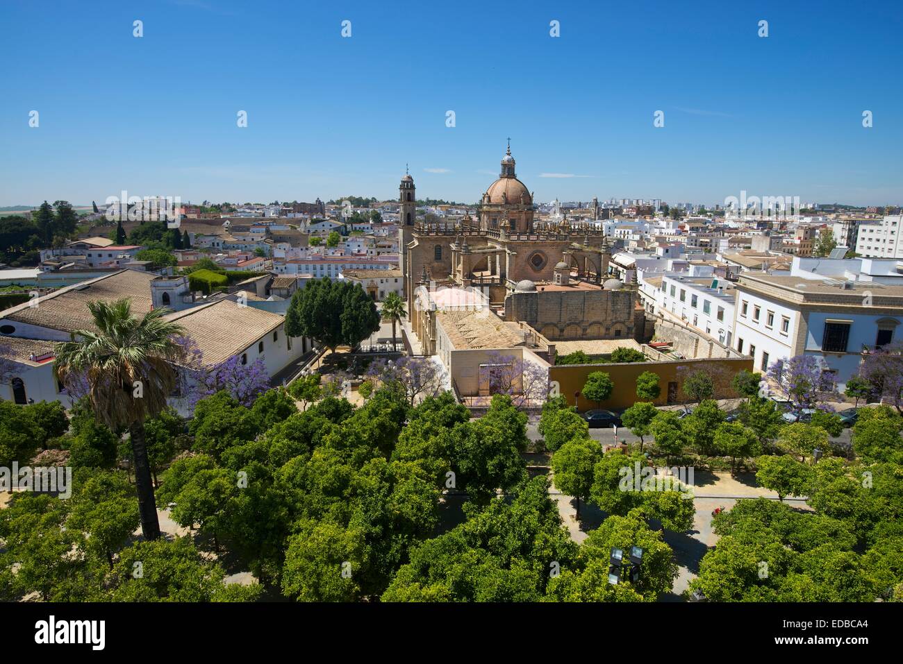 Cattedrale la Colegiata del Salvador, Jerez de la Frontera, Andalusia, Spagna Foto Stock