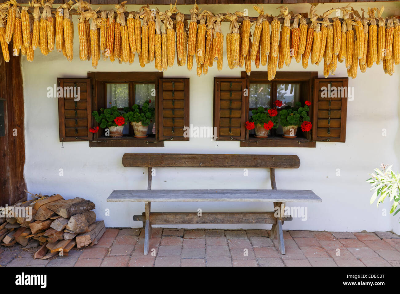 Le pannocchie di granoturco appeso davanti a una casa, Freilichtmuseum Ensemble Gerersdorf Open Air Museum, Gerersdorf-Sulz, Burgenland meridionale Foto Stock