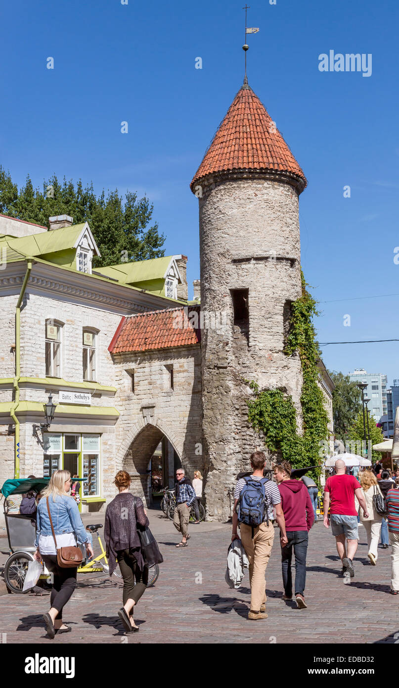 Viru gate con le mura della città nella città vecchia di Tallinn, Estonia Foto Stock