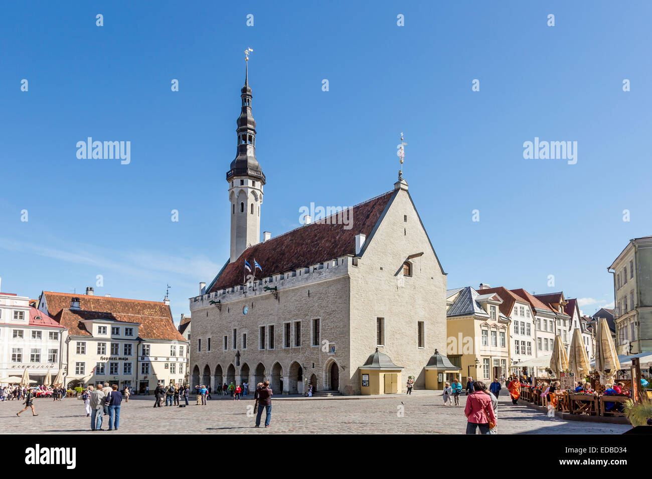 Municipio gotico sulla Town Square nella città vecchia di Tallinn, Estonia Foto Stock