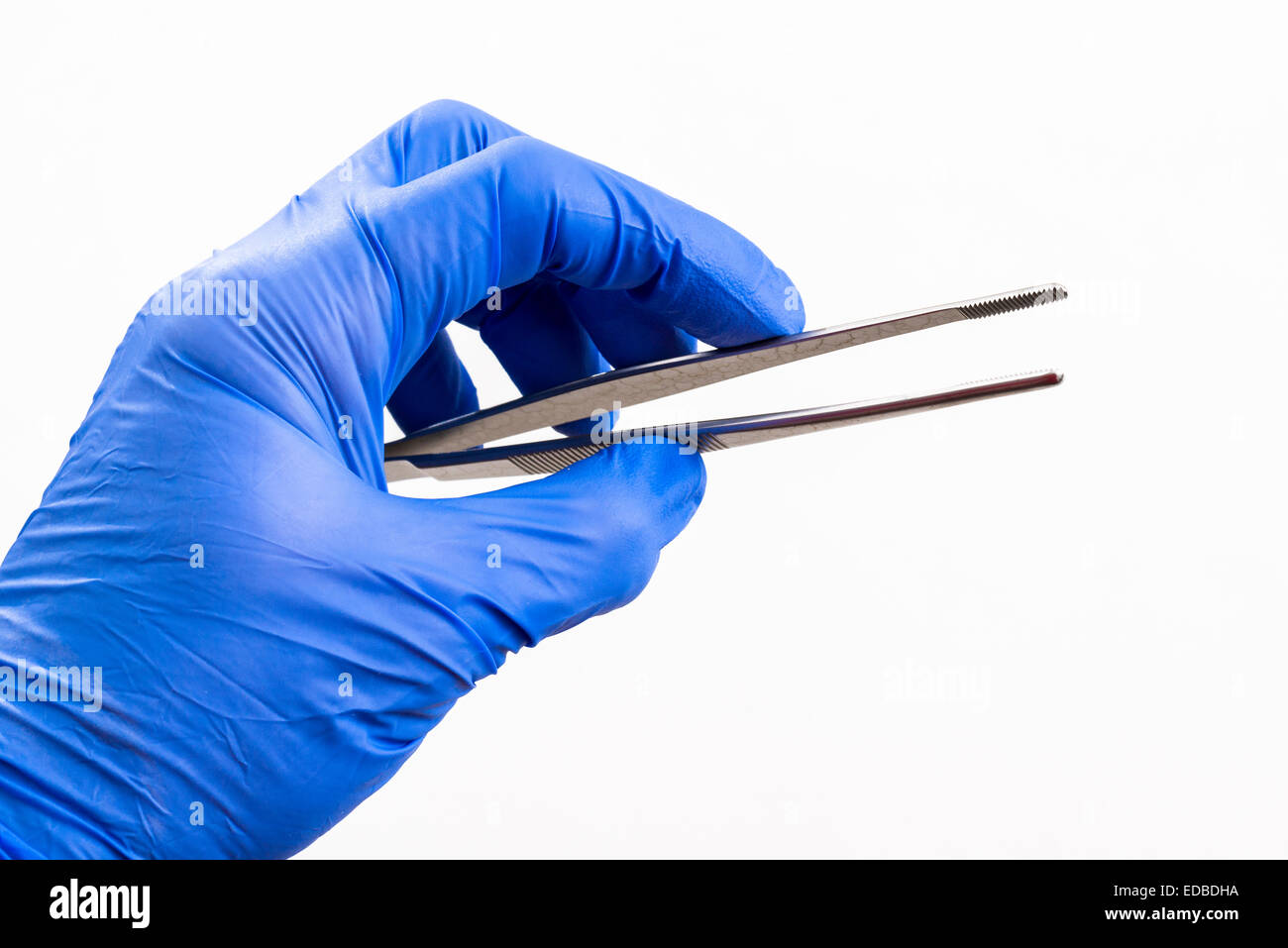 Una mano con un blu guanto medicale è in possesso di una pinzetta Foto Stock