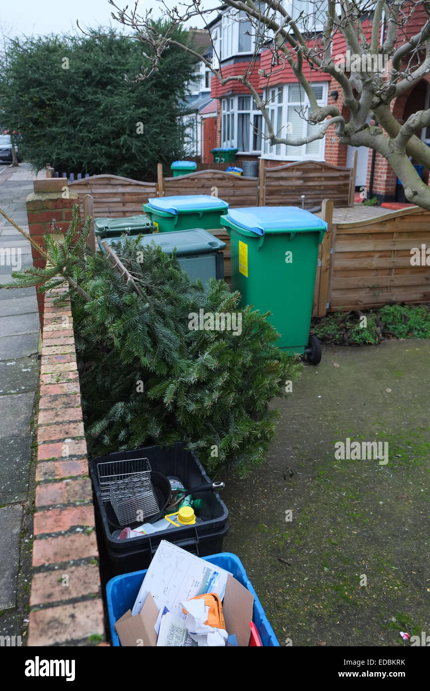 Twickenham, Londra, Regno Unito. Dal 5 gennaio 2014. I residenti locali a Twickenham lasciare i loro vecchi alberi di Natale nei loro giardini per la raccolta dopo la stagione festiva. Credito: Matteo Chattle/Alamy Live News Foto Stock