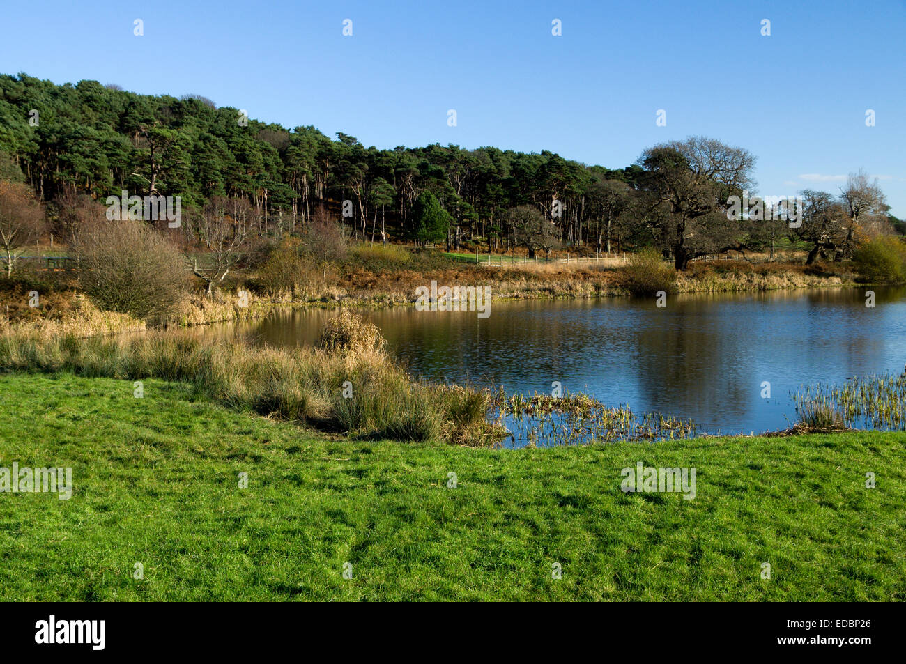 Il lago di Margam Park, Port Talbot, nel Galles del Sud. Foto Stock