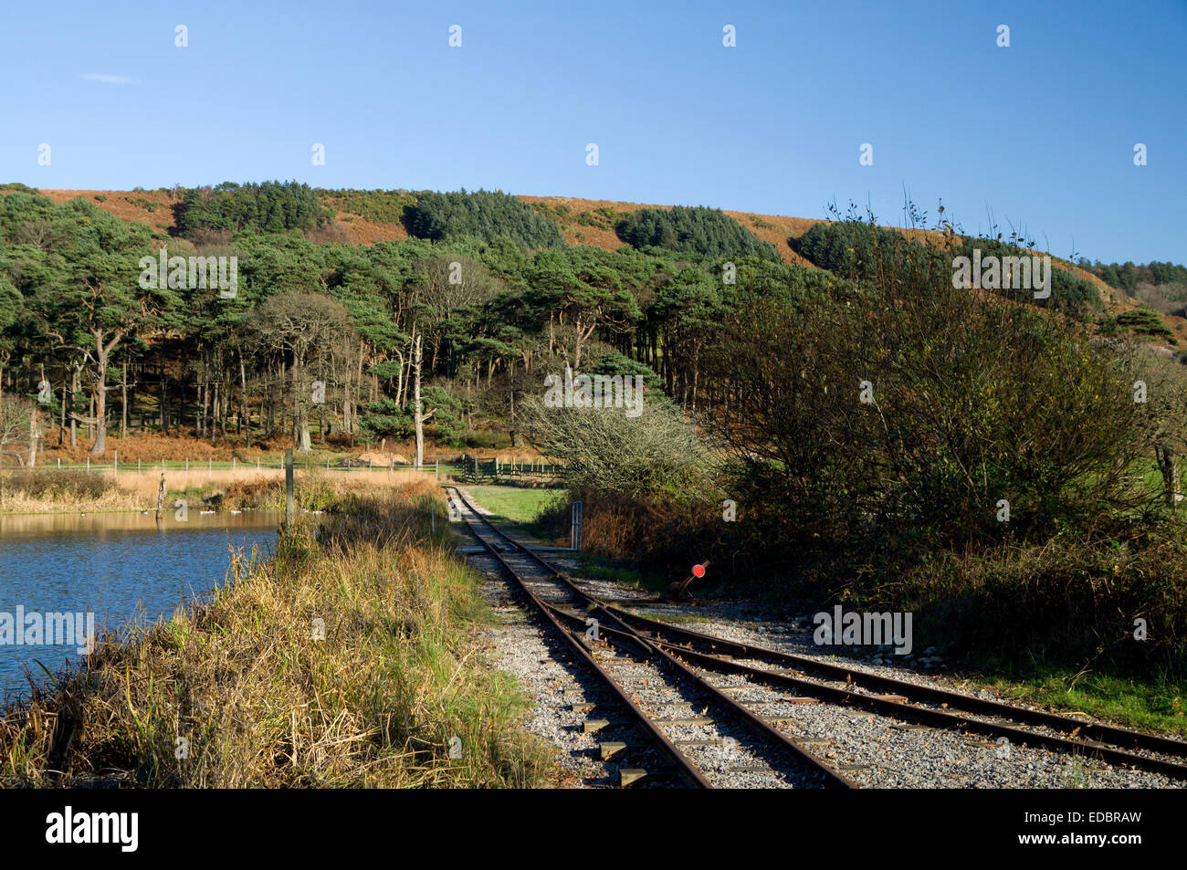 Convergenza di linee ferroviarie, Margam Country Park, Port Talbot, South Wales, Regno Unito. Foto Stock