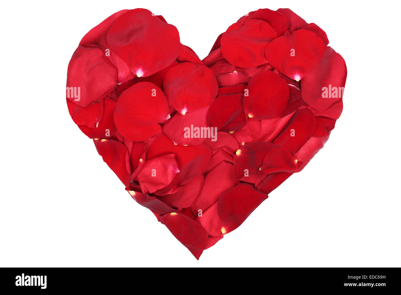 Cuore da fiori di rose rosse amore argomento di San Valentino e la festa della mamma isolato Foto Stock