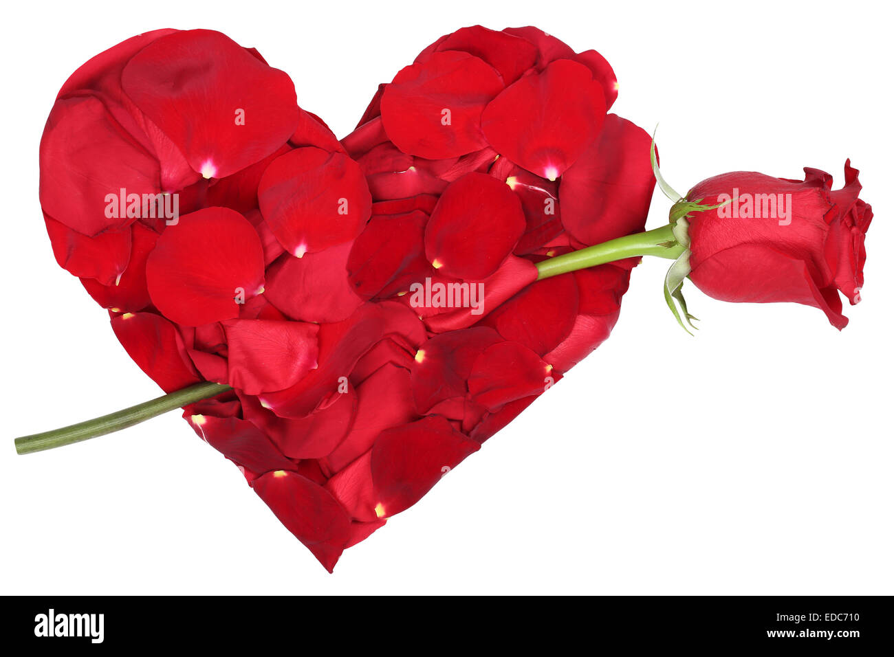 Cuore dai petali di rosa rossa amore argomento di San Valentino e la festa della mamma isolato Foto Stock