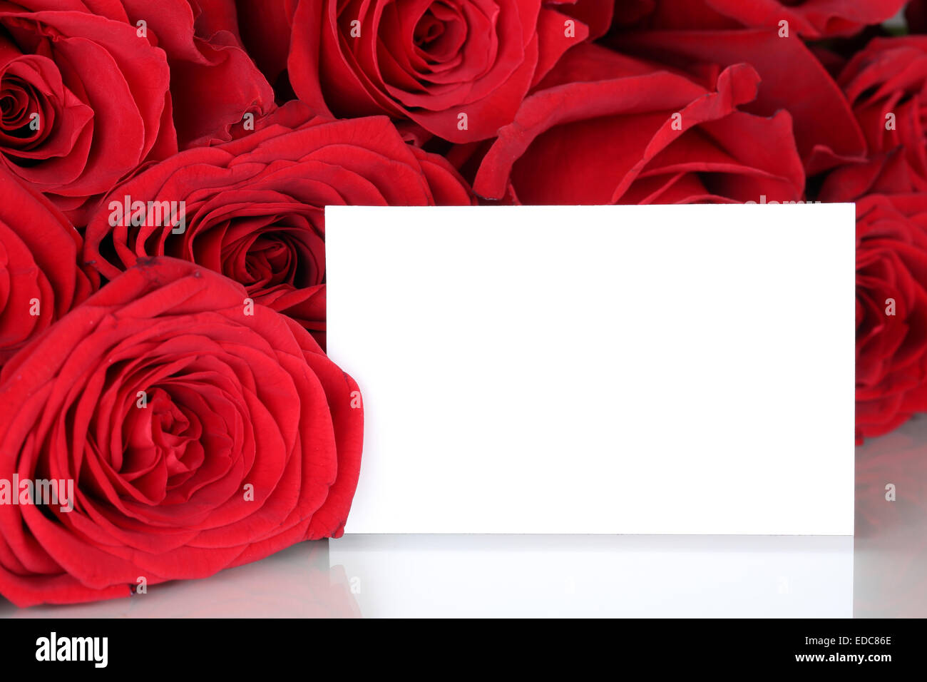 Rose rosse di San Valentino o la festa della mamma con la scheda vuota e copyspace per il proprio testo Foto Stock