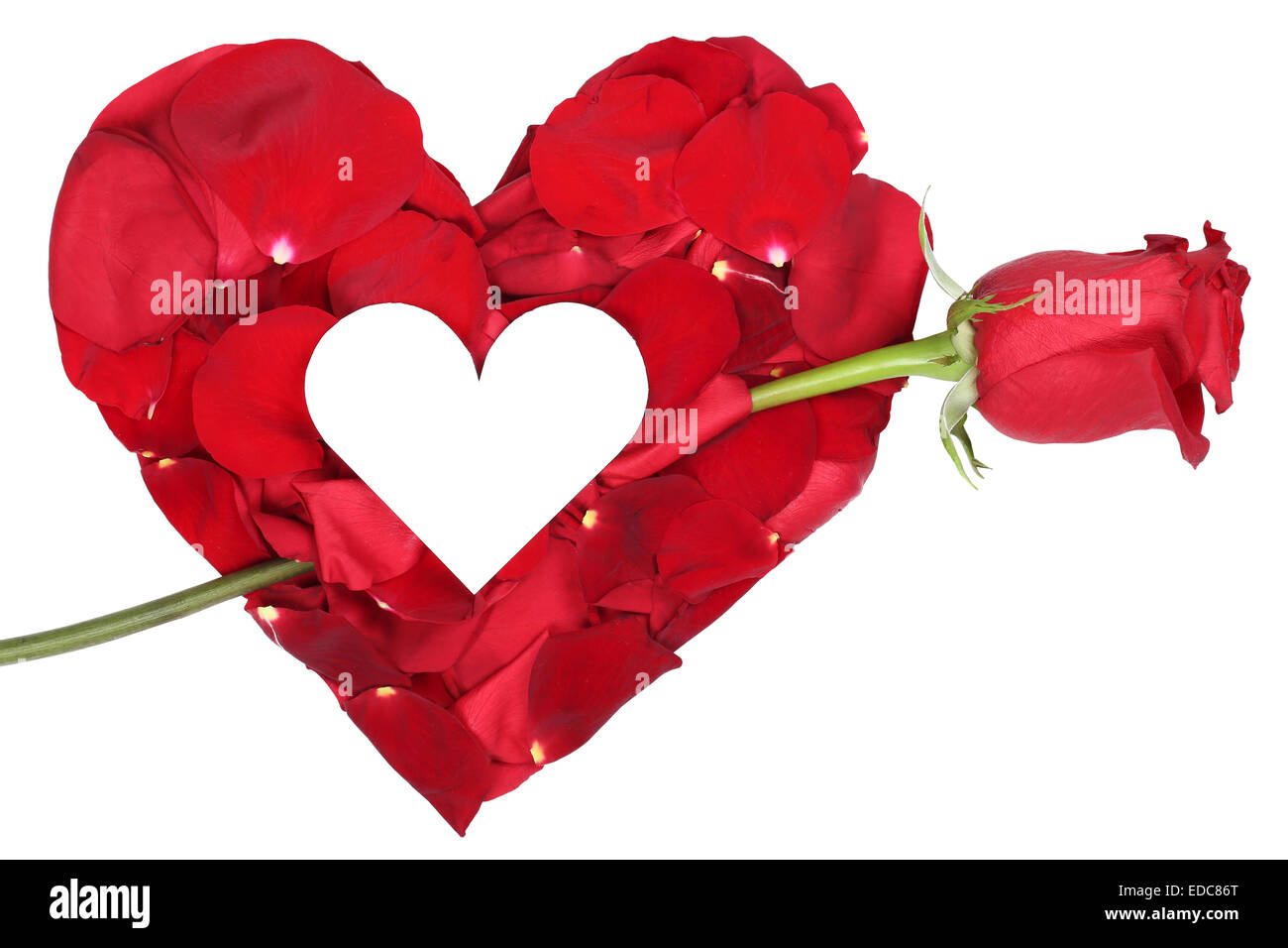 Cuore dai petali di rosa rossa amore argomento di San Valentino e la festa della mamma isolato con copyspace Foto Stock