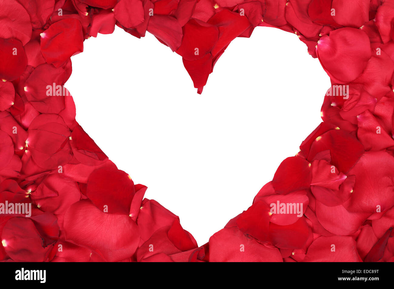Petali di rose rosse cuore di formatura amore argomento di San Valentino e la festa della mamma isolato Foto Stock