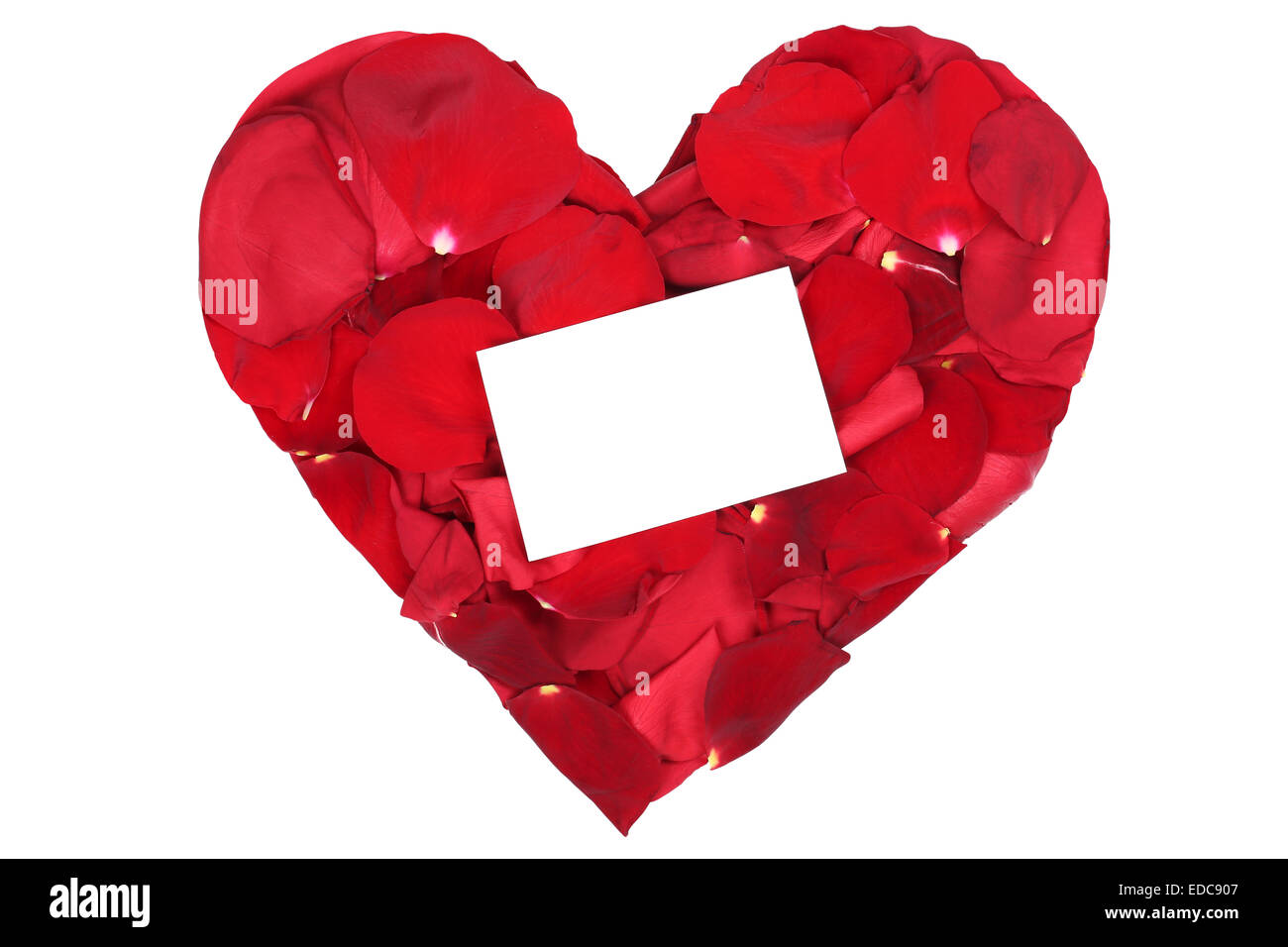 Red Rose cuore dai petali di San Valentino e la festa della mamma isolato con segno vuoto e copyspace Foto Stock