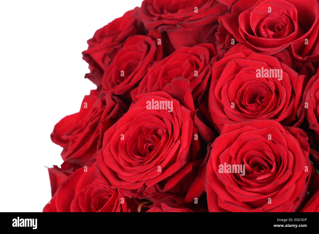 Mazzo di rose rosse sul compleanno di San Valentino o la festa della mamma isolato Foto Stock