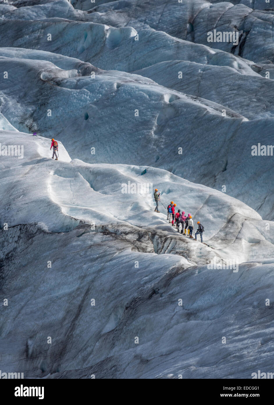 Camminando su Svinafellsjokull. Svinafellsjokull è un'uscita del ghiacciaio Vatnajokull il tappo di ghiaccio si trova nella parte orientale, Islanda Foto Stock