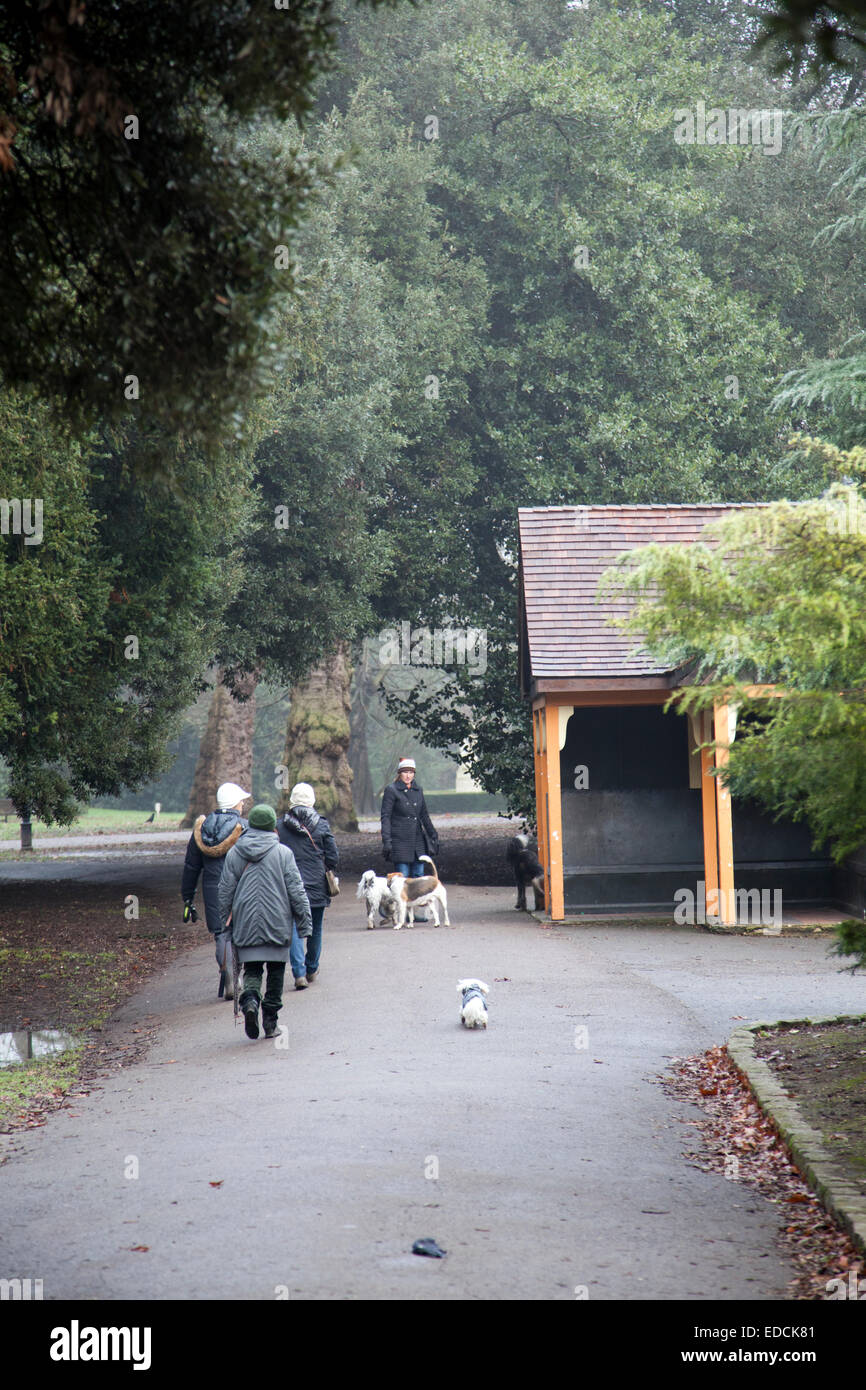 La gente camminare i cani in prima mattinata a Battersea Park a Londra REGNO UNITO Foto Stock