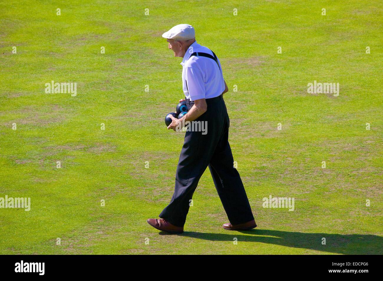 Il vecchio uomo a camminare con 3 bocce su un bowling green. Foto Stock