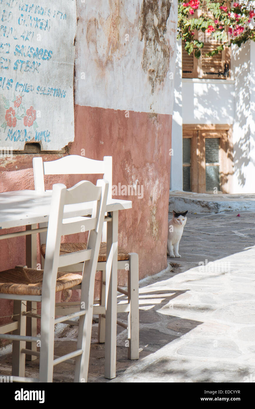 Un gatto nascosto dietro un angolo in Chalkio, Naxos, isole greche. Foto Stock