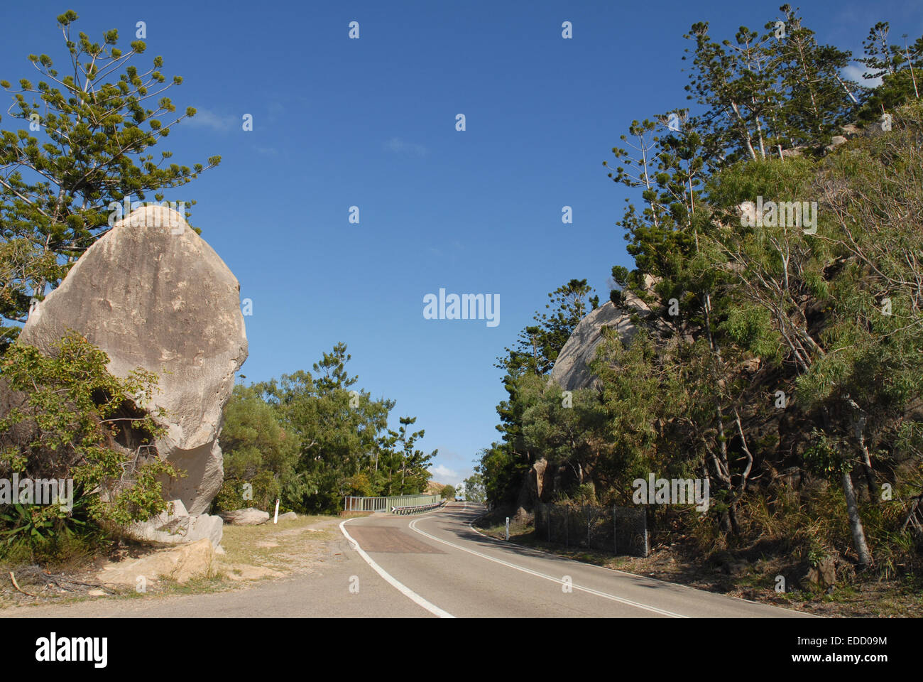 Massi di granito, Hoop pini e la strada principale vicino a Nelly Bay sull'Isola Magnetica Tropical North Queensland, Australia Foto Stock