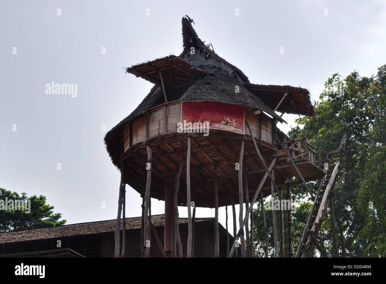 Casa Tradizionale su West Kalimantan, Indonesia Foto Stock