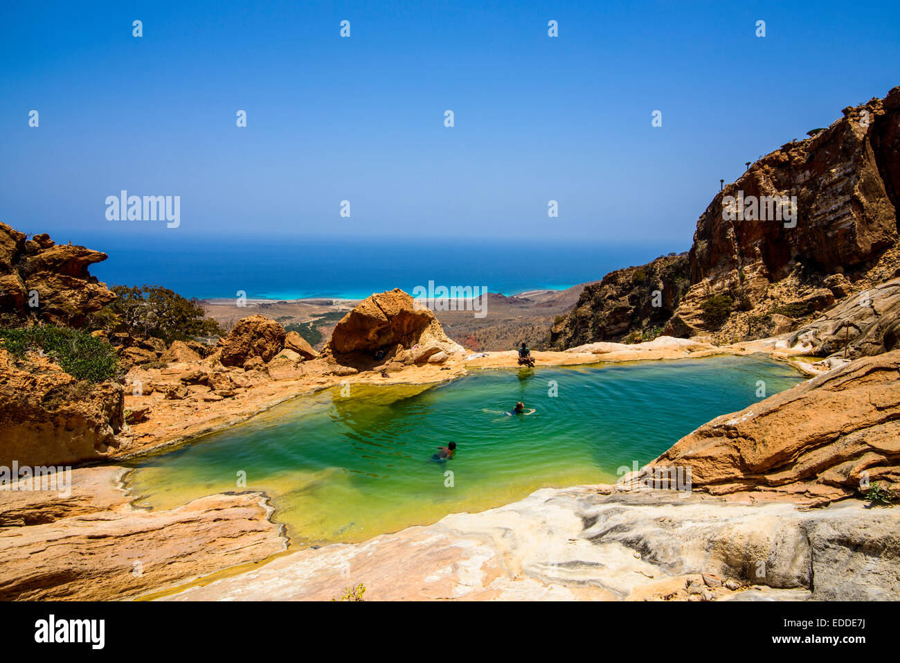 Stagno al litorale, Homhil area protetta, isola di Socotra, Yemen Foto Stock