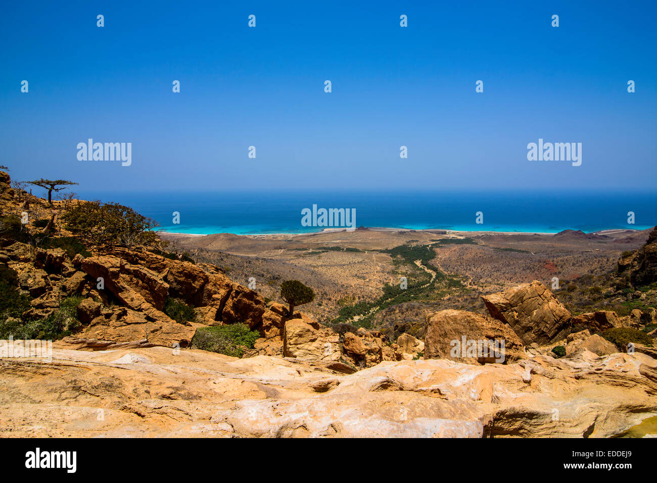 Costa, Homhil area protetta, isola di Socotra, Yemen Foto Stock