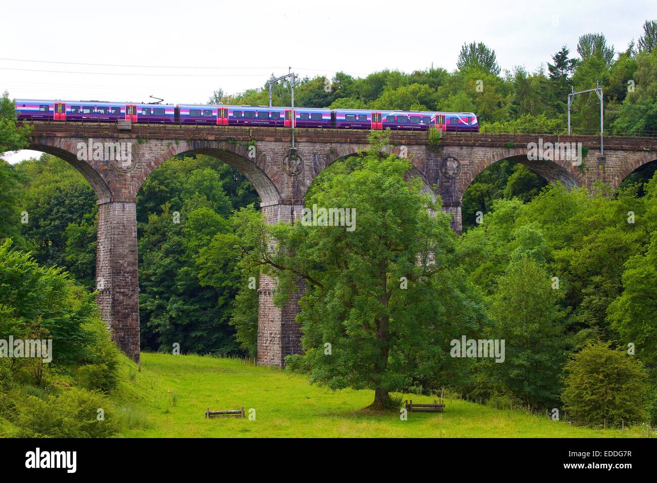 Primo gruppo Trans Pennine Express, classe 185 il treno che passa al di sopra del Hugh falesia viadotto vicino a Penrith, Cumbria, Linea principale della costa occidentale, Foto Stock