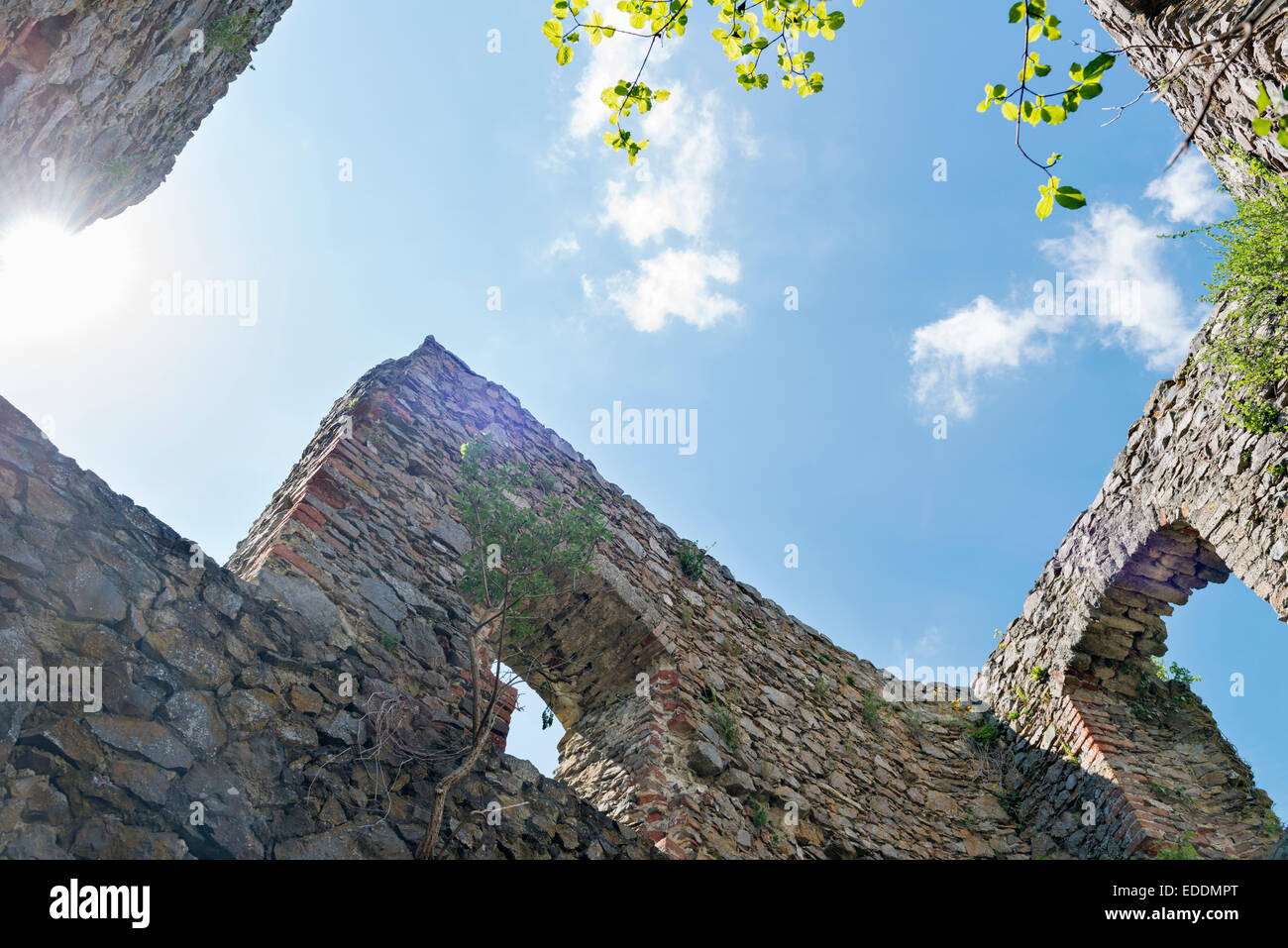 Germania Baden-Wuerttemberg, Hegau, Singen, castello rovina Maegdeberg Foto Stock