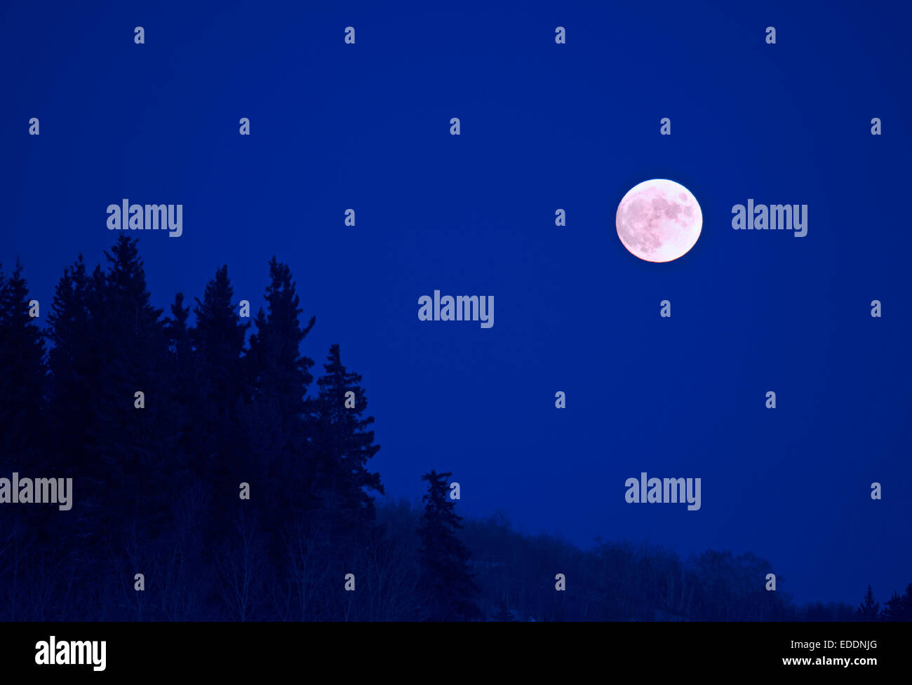 Una luna piena in un blu scuro cielo notturno. Foto Stock