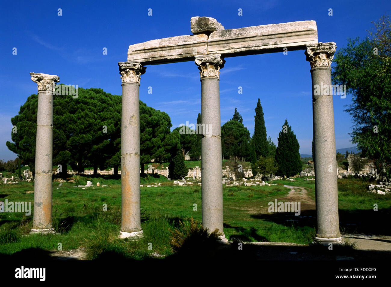 Turchia, Efeso, Agora, colonne corinzie romane Foto Stock