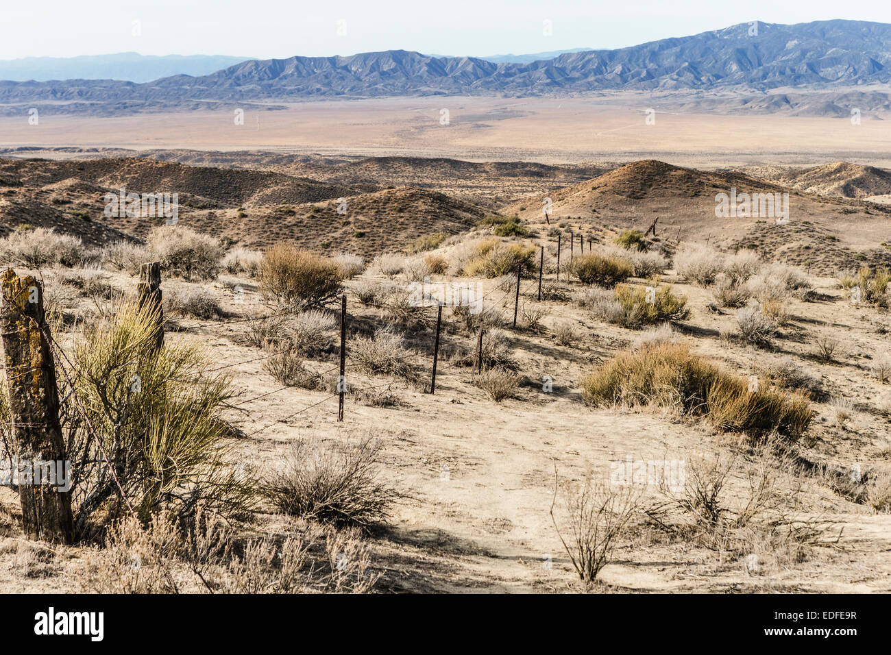 Vista panoramica della gamma Caliente e Carrizo Plain. Foto Stock