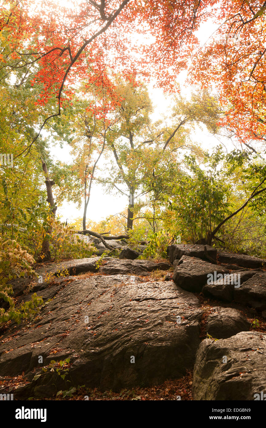 Giorno di caduta di Central Park. Foto Stock