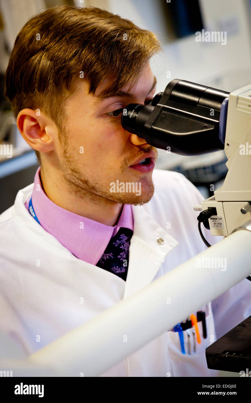 Maschio tecnico di laboratorio utilizzando un microscopio per esaminare i campioni di medicinali in un British National Health Service NHS hospital Foto Stock