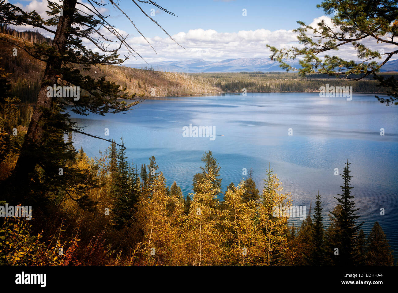 Lake Jenny nel Parco Nazionale di Grand Teton. Il Wyoming. Foto Stock