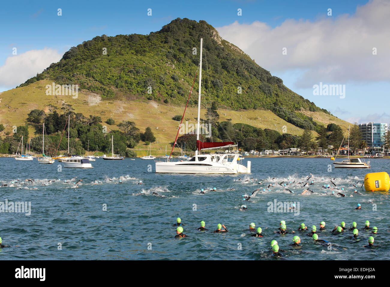 I nuotatori in gara di triathlon a Mount Maunganui, Nuova Zelanda Foto Stock