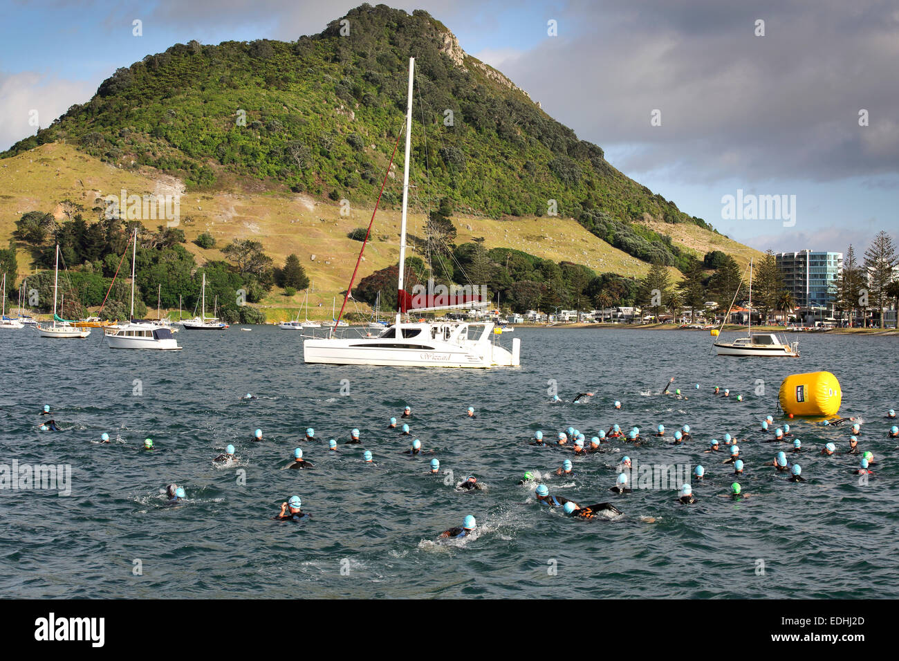 I nuotatori in gara di triathlon a Mount Maunganui, Nuova Zelanda Foto Stock