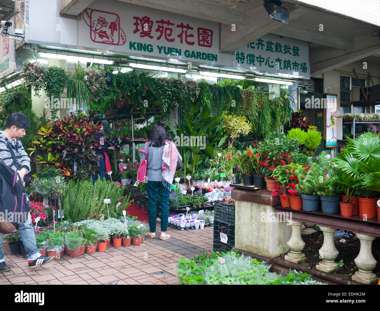 Hong Kong - mercato dei fiori a Mong Kok Foto Stock