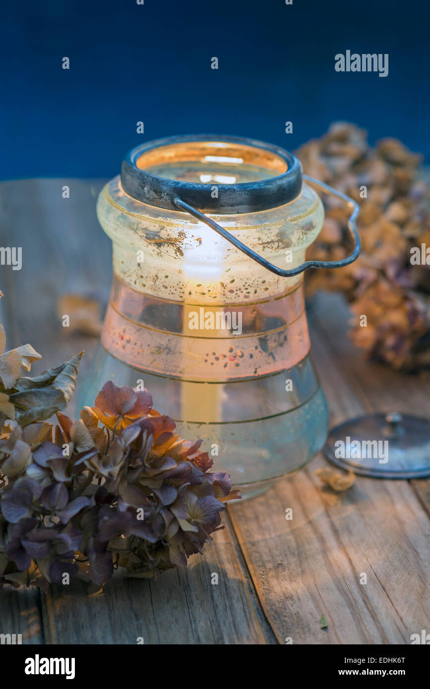 Essiccato ortensie e vasetto in vetro con candela Foto Stock