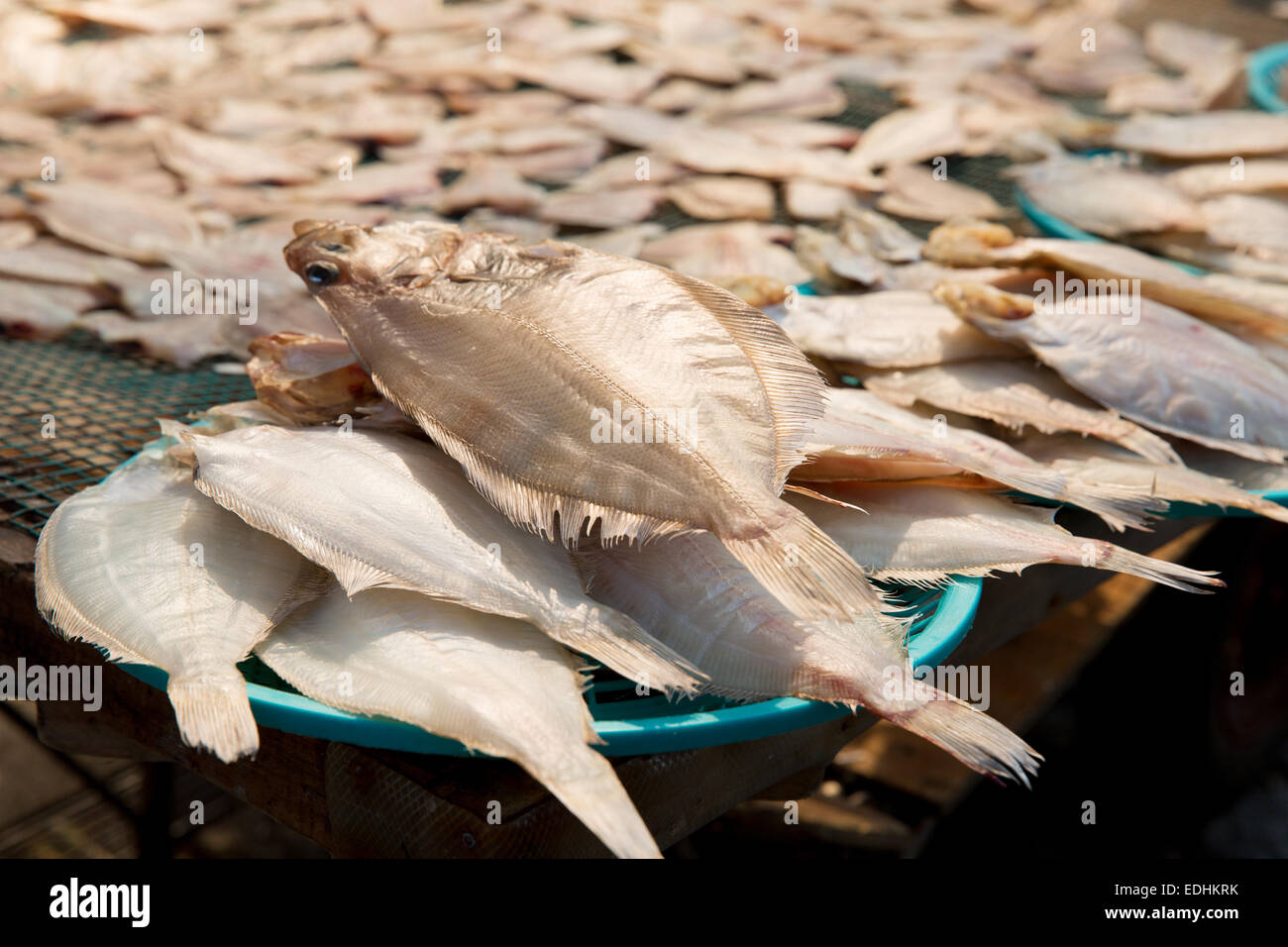 Pesce fresco al Jagalchi mercato del pesce, Busan, della Repubblica della Corea del Sud Foto Stock