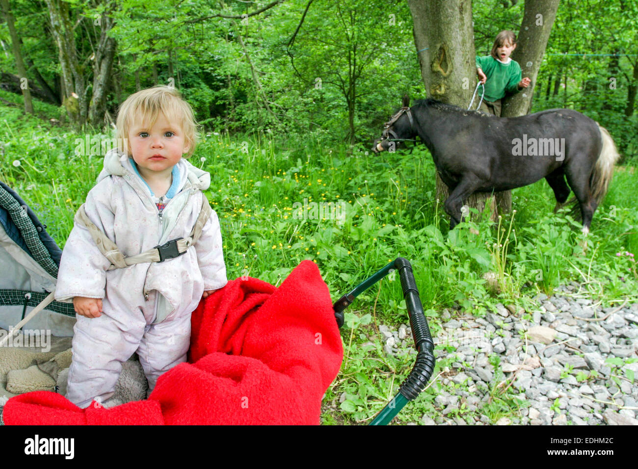 Passeggino bambino, toddler in passeggino per bambini in pram all'esterno di boschi e cavalli sfondo Foto Stock