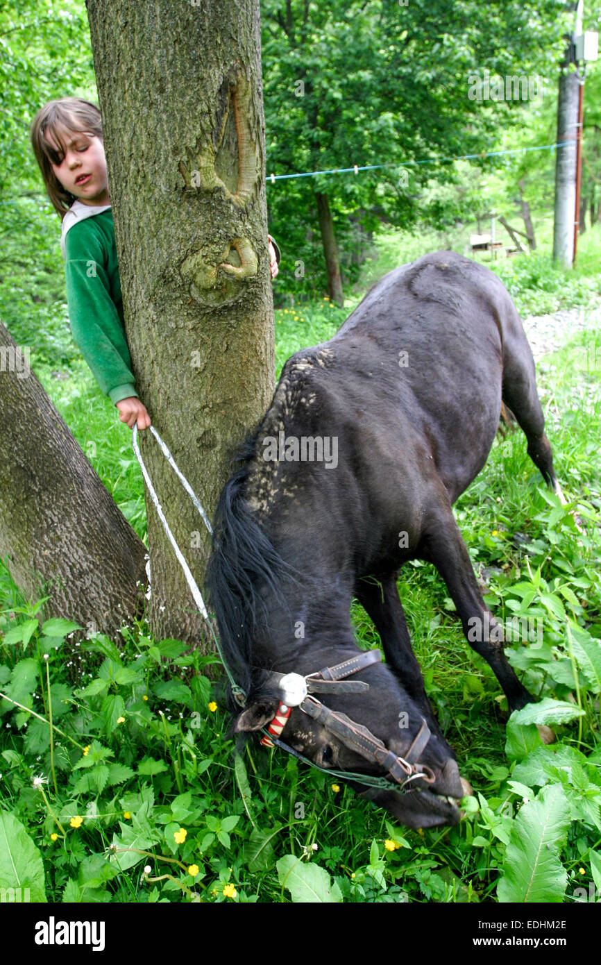 Ritratto di ragazza con cavallo nero nel paese Foto Stock