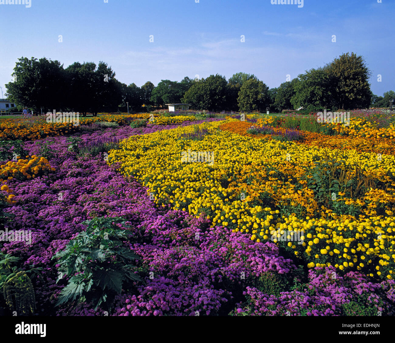 Parkanlage und Freizeitpark in Egapark Erfurt, Thueringen, ehemals iga, Internationale Gartenbauausstellung 1961 bis 1990 Foto Stock