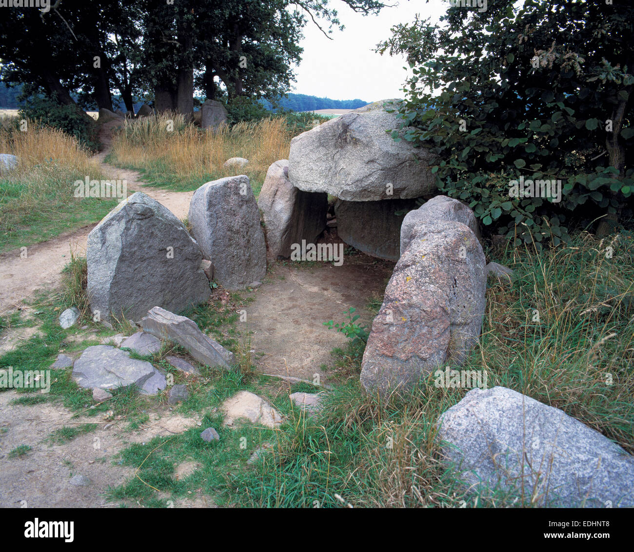 Grosssteingrab Lancken-Granitz 3 aus der Jungsteinzeit, Lancken-Granitz, Biosphaerenreservat Suedost-Ruegen, Insel Ruegen, Ostsee, Mecklenburg-Vorpomm Foto Stock