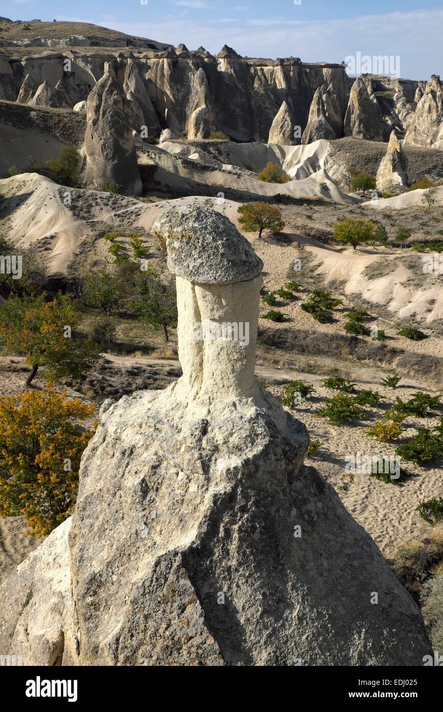 Formazioni di tufo, i monaci Valley, Pasabagi, Nevsehir Provincia, Cappadocia, Turchia Foto Stock