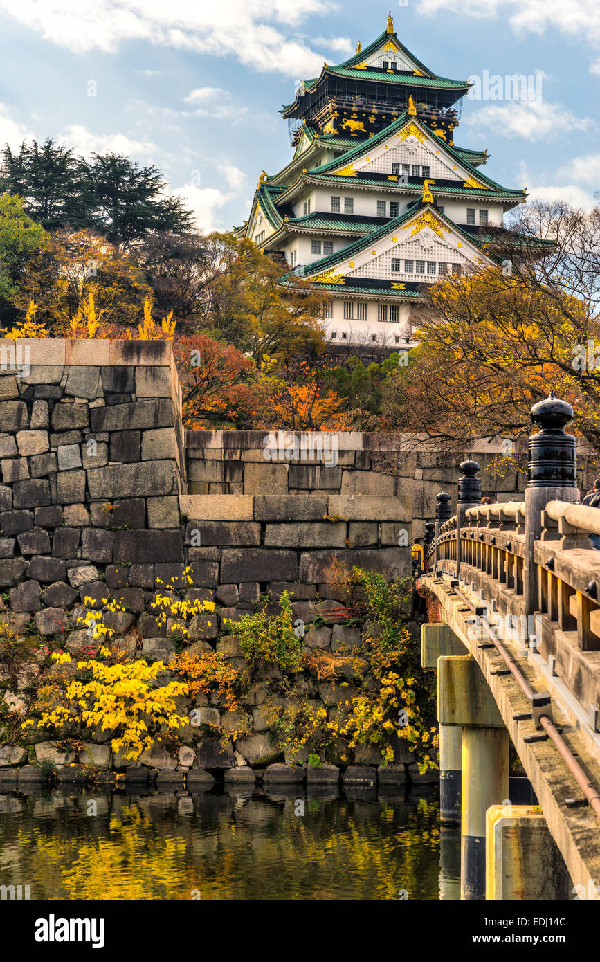 Il Castello di Osaka in Osaka con foglie di autunno. Il Giappone. Foto Stock