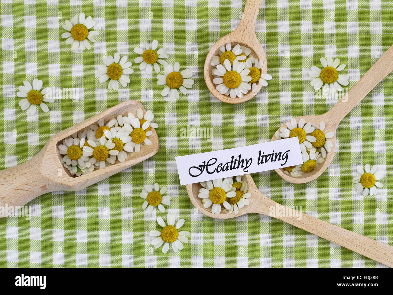 Uno stile di vita sano scheda con i fiori di camomilla su cucchiai di legno sul panno a scacchi Foto Stock