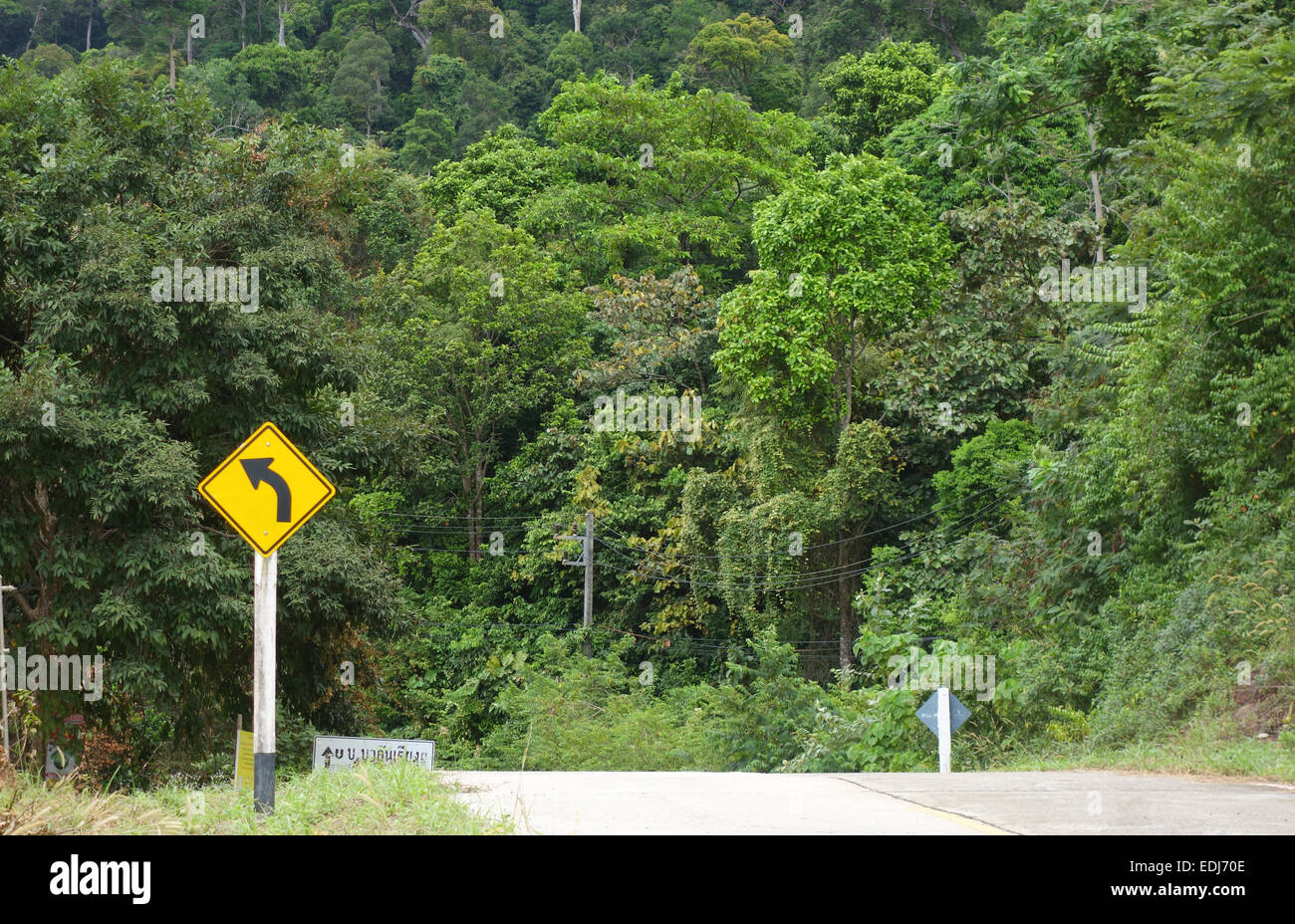 Giriamo a sinistra nella giungla, la foresta pluviale di Koh Lanta, Mu Ko Lanta National Park, Thailandia, Sud-est asiatico. Foto Stock